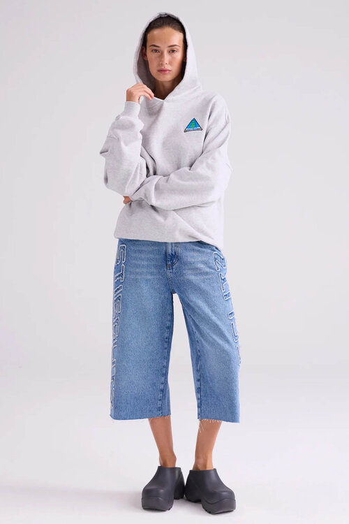 Stieglitz Cisco Hoodie in Grijs