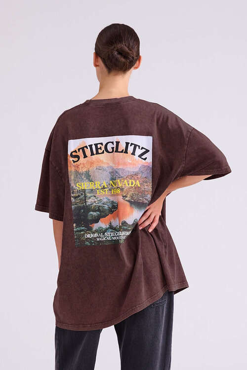 Stieglitz Miquel Oversized T-shirt in Bruin