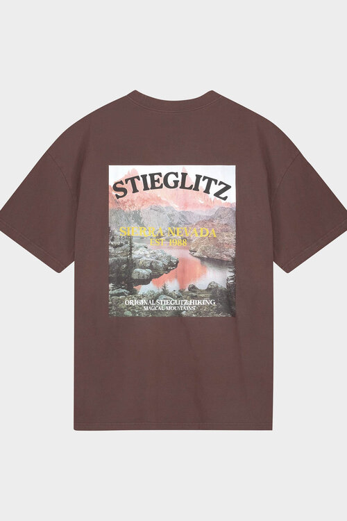 Stieglitz Miquel Oversized T-shirt in Bruin
