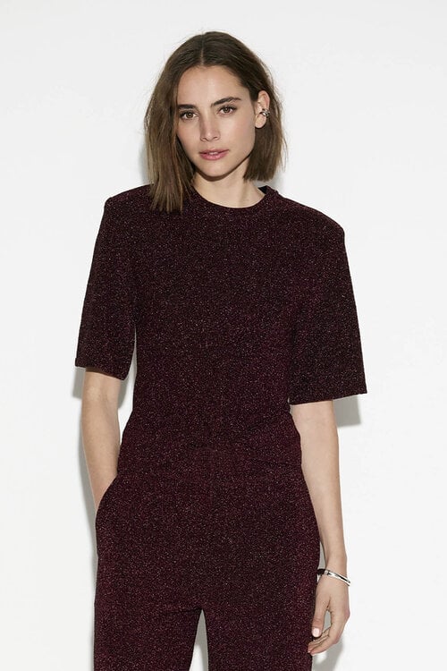 Dante 6 Fantina Lurex Top in Paars