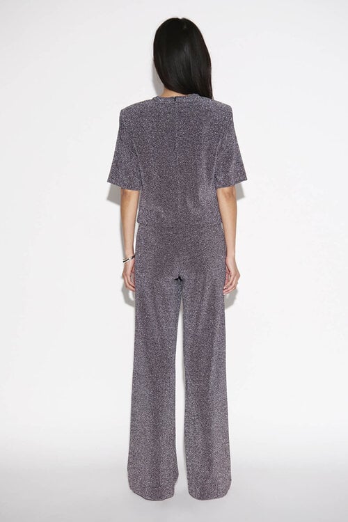 Dante 6 Noemia Lurex Broek in Paars