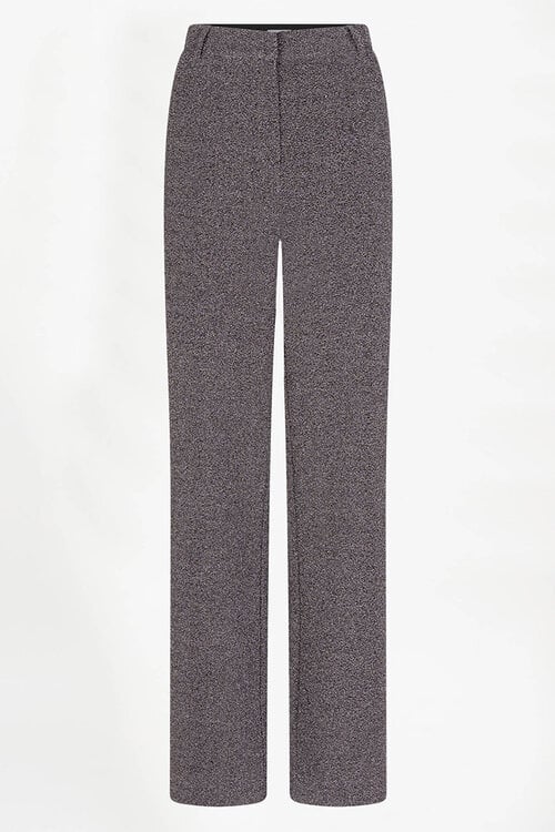 Dante 6 Noemia Lurex Broek in Paars