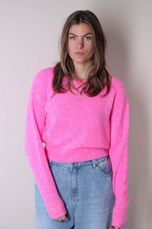 American Vintage Trui in Roze