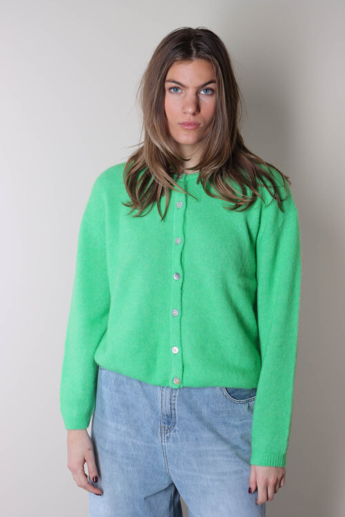 American Vintage Groen Vest