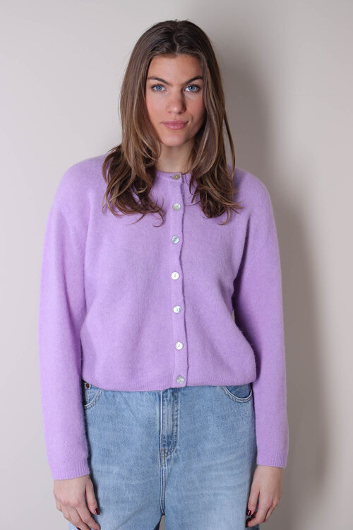 American Vintage Paarse Gilet