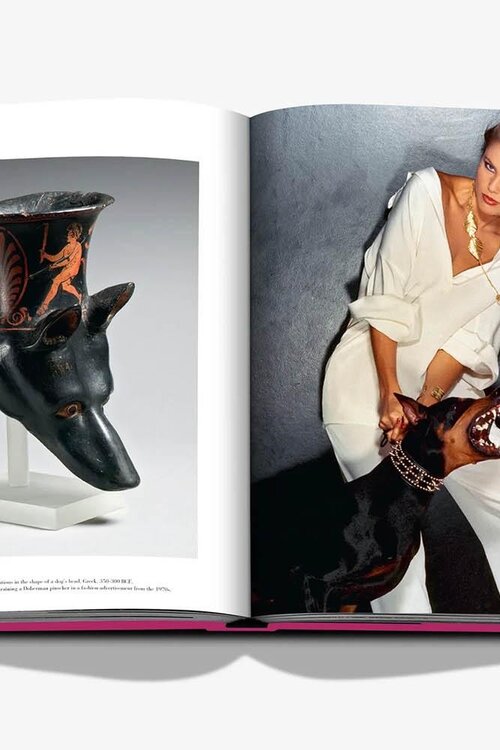 Assouline Elegante Honden