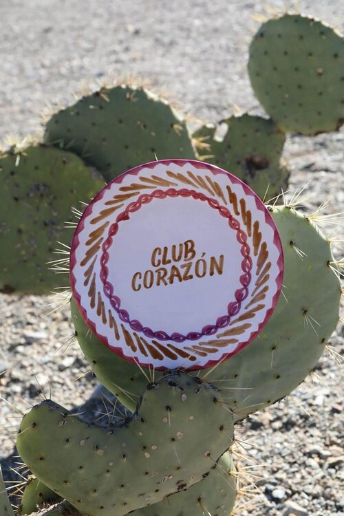 Harper & Yve Harper & Yve X Lenta Living