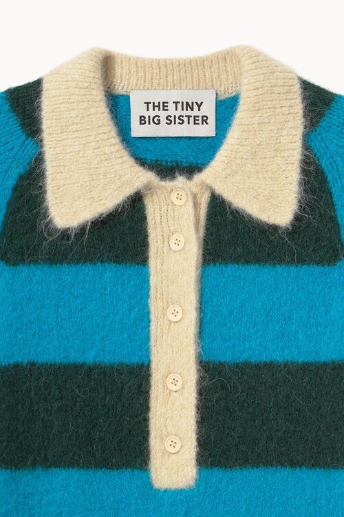The Tiny Big Sister Frank Polo sweater met strepen in Blauw