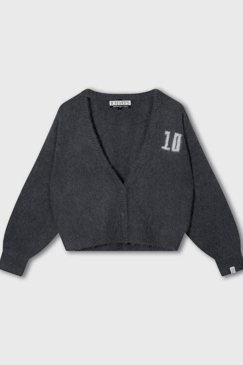 10Days harig gebreid vest antra