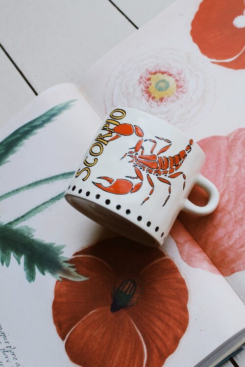 Anna & Nina Zodiac Scorpio Theemok in Wit