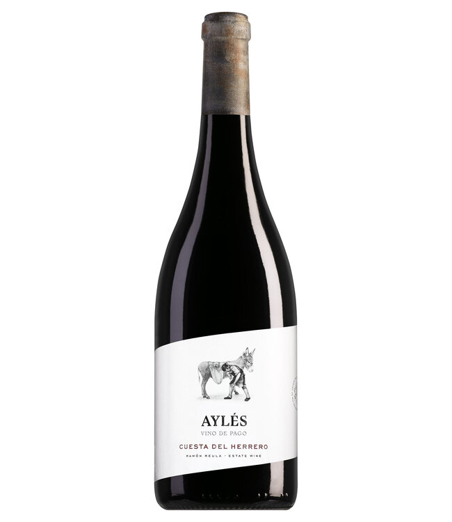 Aylés Vino de Pago Cuesta del Herrero - 2023