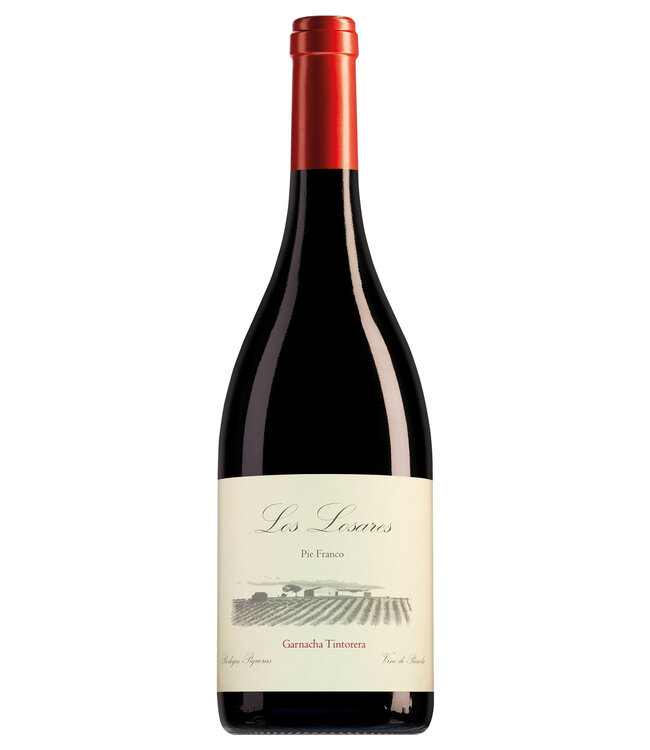 Bodegas Piqueras Almansa Los Losares Garnacha Tintorera - 2020