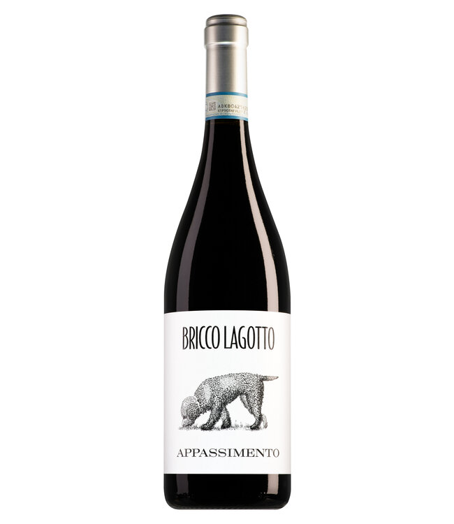 Bricco Lagotto Piemonte Barbera Passito Appassimento - 2023