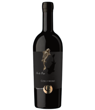 Collefrisio Collefrisio Montepulciano d'Abruzzo In & Out Black Label - 2019