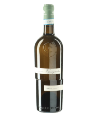 Collefrisio | Italië | Abruzzo Collefrisio Vignaquadra Pecorino PRESTIGE - 2022