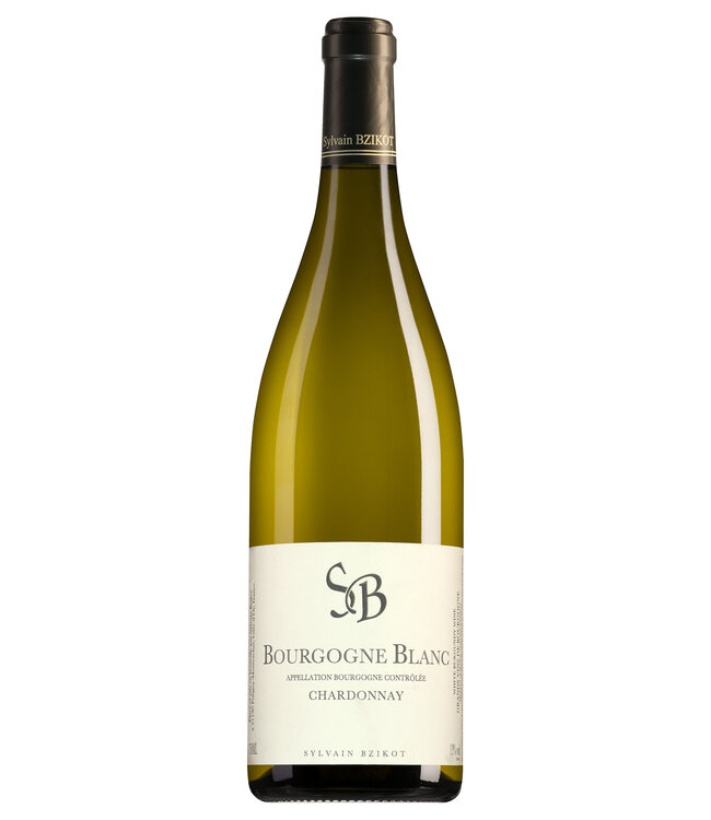 Domaine Bzikot Bourgogne Blanc - 2022