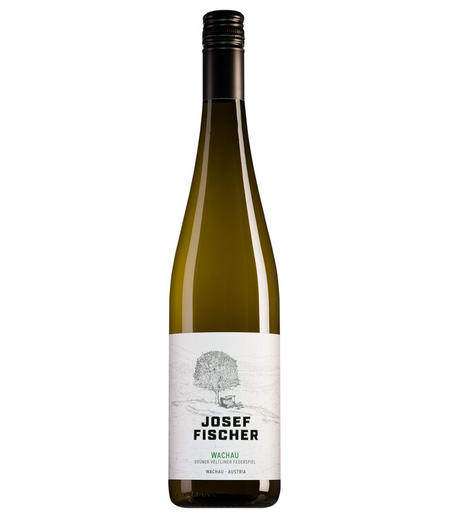 Josef Fischer Wachau Federspiel Grüner Veltliner - 2024