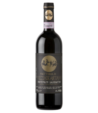Milziade Antano | Italië | Umbria Milziade Antano Montefalco Sagrantino DOCG - 2017