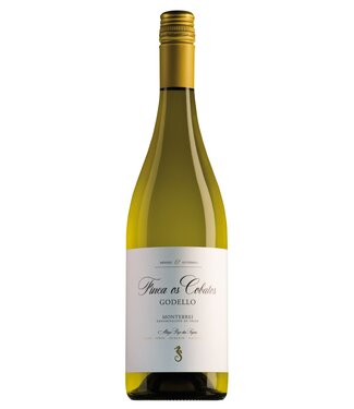 Pazo das Tapias Pazo das Tapias Finca Os Cobatos Monterrei Godello - 2024