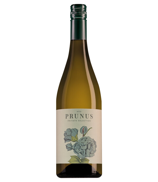 Prunus Dão Branco - 2022