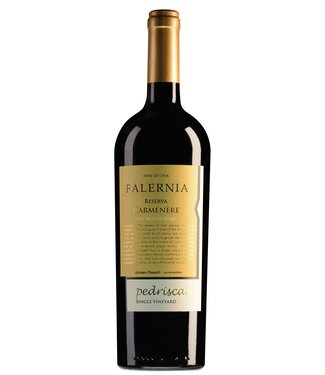 Viña Falernia | Chili | Elqui Valley Viña Falernia Elqui Valley Pedriscal Carmenère - 2020