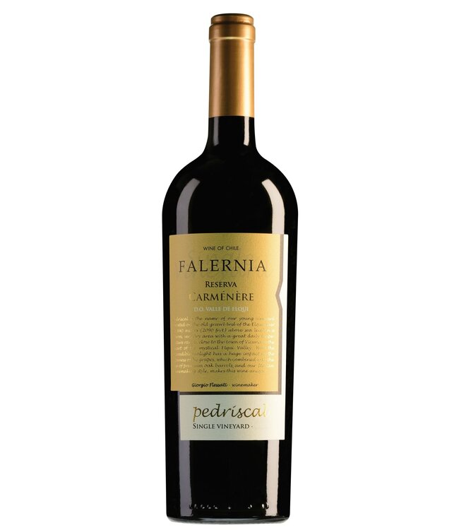 Viña Falernia Elqui Valley Pedriscal Carmenère - 2020