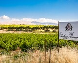 Chateau Musar – Een Libanees icoon vol karakter