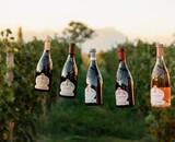 Ca’ dei Frati – Legende van Lugana
