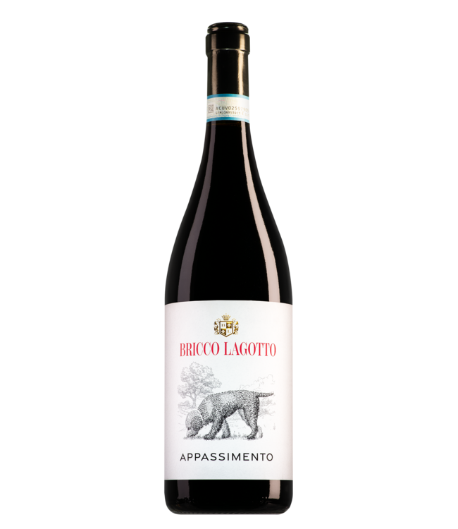 Bricco Lagotto Piemonte Barbera Passito Appassimento - 2023