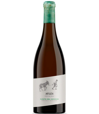 Pago Aylés | Spanje | Cariñena Pago Aylés  Cuesta del Herrero Chardonnay - 2025