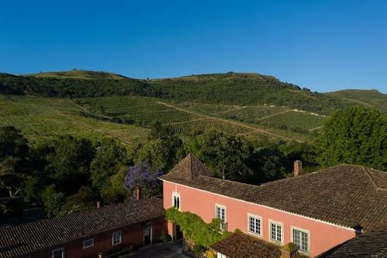 Vier facetten van Arinto – ontdek Quinta da Romeyra uit Bucelas