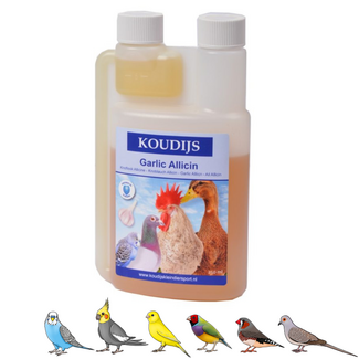 Wielink Anti Luis / Worm – 10 ML