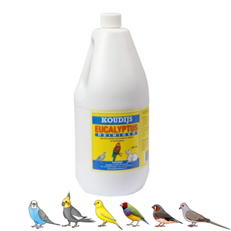 Wielink Eucalyptus reiniger - 2 liter