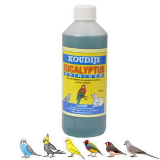 Wielink Eucalyptus reiniger - 500ml
