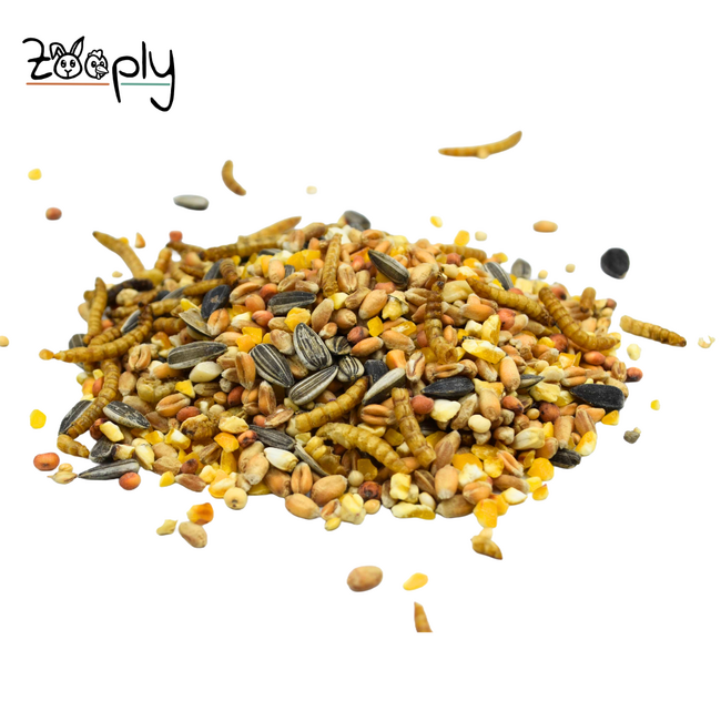 Strooivoer met meelwormen voor de buitenvogels – Mooie samenstelling van verschillende zaden voor de vogels – In zak verpakt – 3 kg