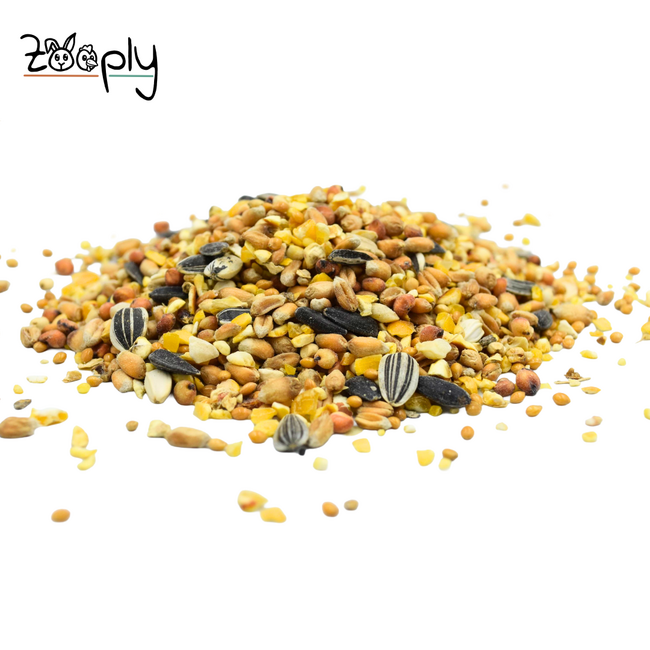 Strooivoer voor de buitenvogels – Mooie samenstelling van verschillende zaden voor de vogels – In zak verpakt – 3 kg