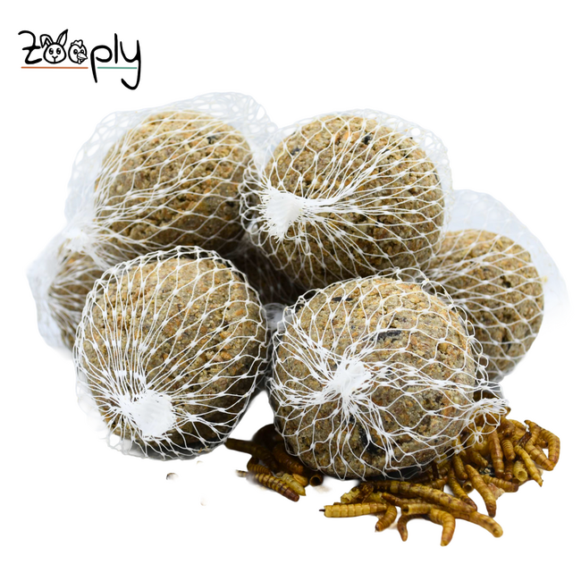 Mezebollen met net en meelwormen – Vetbollen voor buitenvogels – In zakje – 11 stuks