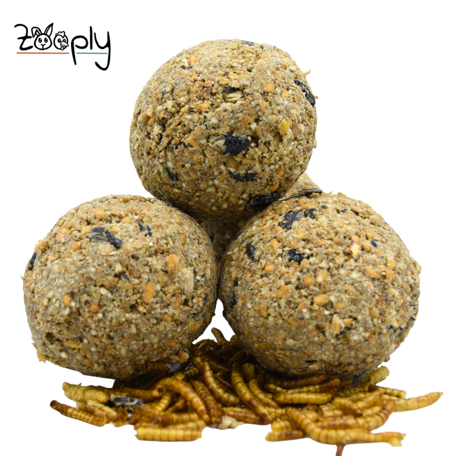 Mezebollen zonder net en meelwormen – Vetbollen voor buitenvogels – In bakje – 18 stuks