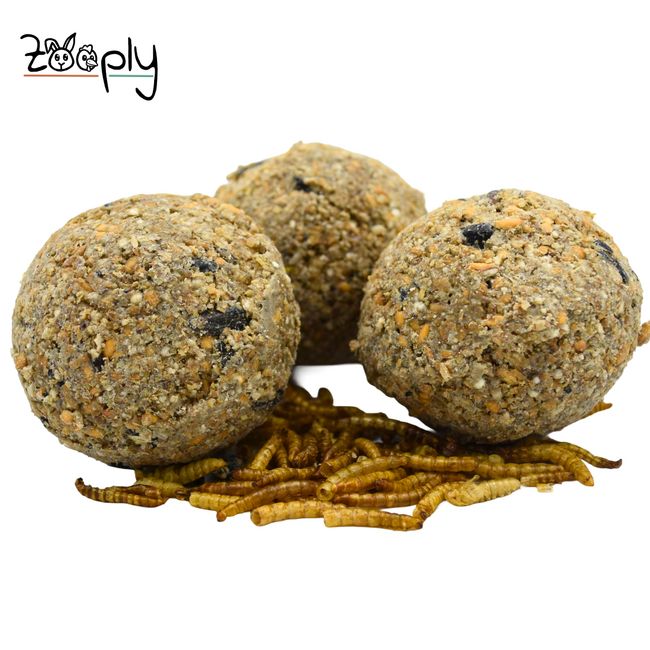 Mezebollen zonder net en meelwormen – Vetbollen voor buitenvogels – In bakje – 18 stuks