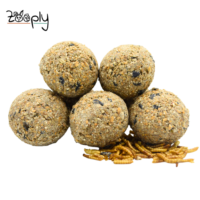 Mezebollen zonder net en meelwormen – Vetbollen voor buitenvogels – In zakje – 11 stuks