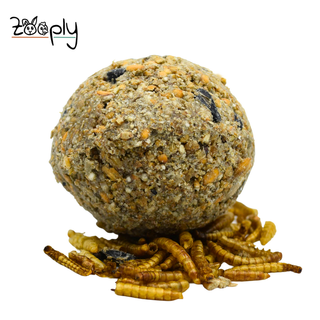 Mezebollen zonder net en meelwormen – Vetbollen voor buitenvogels – In zakje – 11 stuks