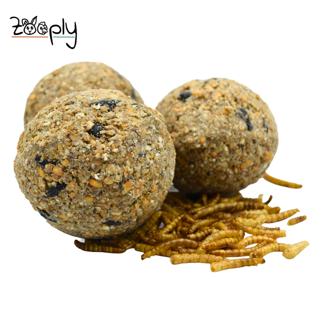 Mezebollen zonder net en meelwormen – Vetbollen voor buitenvogels – In zakje – 11 stuks