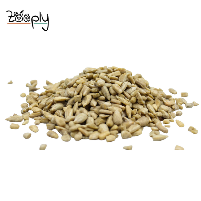 Gepelde zonnebloempitten voor de buitenvogels – Gezonde lekkerij voor de vogels buiten in de tuin – 1 kg