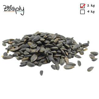 Zooply Zwarte zonnebloempitten – 1 kg