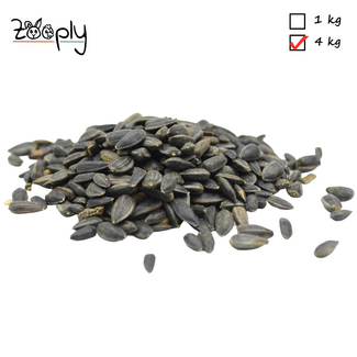 Zooply Zwarte zonnebloempitten – 1 kg - Copy