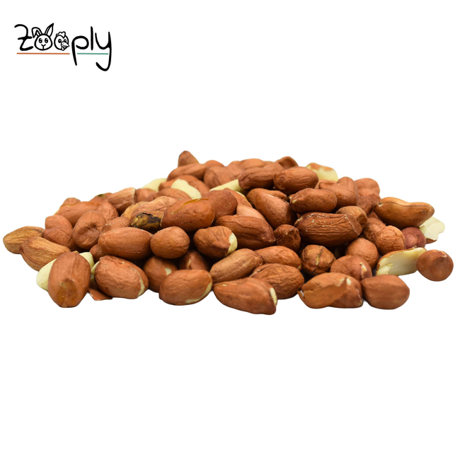 Pinda’s voor de buitenvogels – Gezonde lekkerij voor de vogels buiten in de tuin – 1 kg