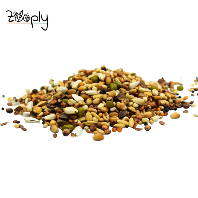 Snoepvoer voor de buitenvogels – Mooie samenstelling maar vooral lekkere samenstelling – In emmmer verpakt – 3 kg