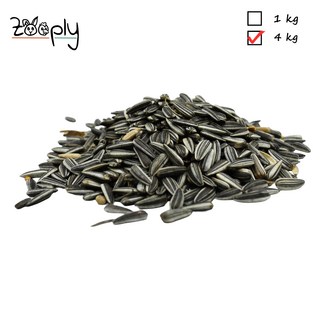 Zooply Gestreepte zonnebloempitten – 1 kg - Copy