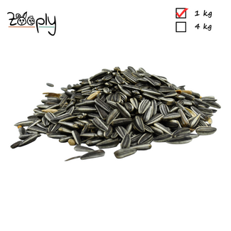 Zooply Gestreepte zonnebloempitten – 1 kg