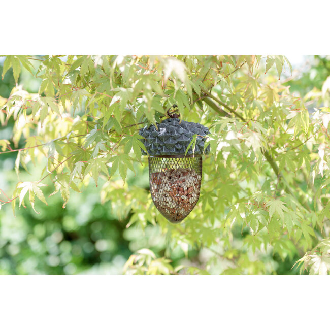 Fooddispenser for wild birds